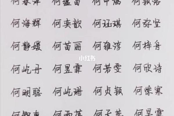 何姓男孩名字大全-何姓男孩起名字大全-何姓名字大全姓名 何姓男孩名字大全-何姓男孩起名字大全-何姓名字大全姓名