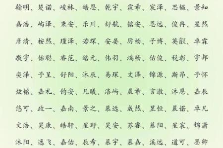 2019年5月21号寅时出生的男孩起名时要注意什么姓名