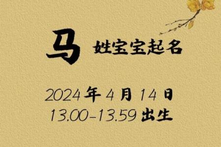 五月份出生的属马男孩该取什么名字姓名