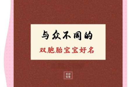 双胞胎取名字时你所不知的3方法和2个经典方法-姓名学-华易网姓名