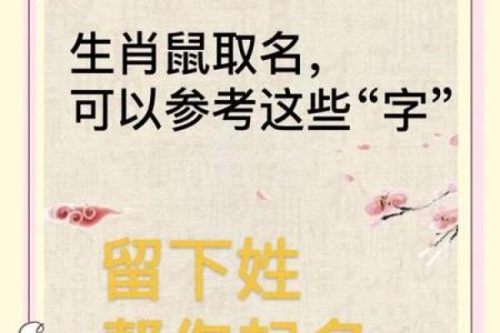 怎么样给晚上10点出生的属鼠男孩起名姓名