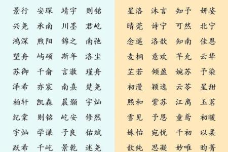 2019年4月9号寅时出生的男孩如何起名姓名