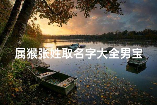 用什么字给晚上11点出生的属猴男孩取名字合适姓名 用什么字给晚上11点出生的属猴男孩取名字合适姓名