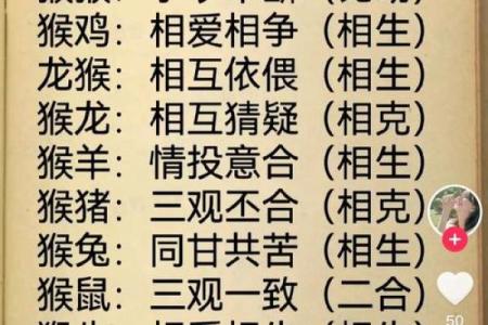 用什么字给晚上11点出生的属猴男孩取名字合适姓名