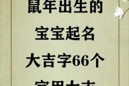 中午出生的属鼠男孩应该如何取名姓名