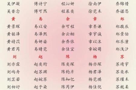 2019年3月24号辛时出生的男孩起名时要注意什么姓名