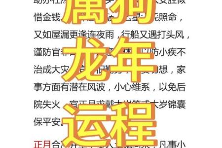 早上六点出生的属狗男孩如何取名，用什么字好姓名
