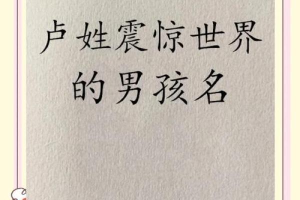 2019年4月20号丑时出生的男孩起名时要注意什么姓名