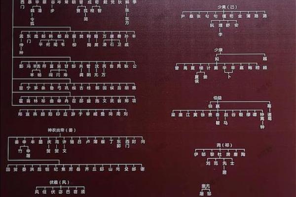 中国姓氏的由来-姓名学-姓名分析姓名