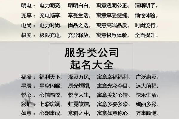 网络公司名字大全-名字大全姓名
