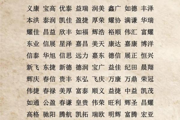 网络公司名字大全-名字大全姓名