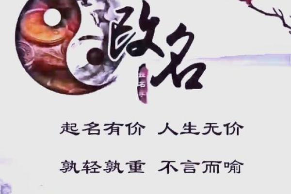 凌晨5点出生的属鼠男孩宜用什么字来取名字姓名