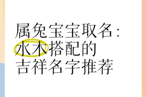 早上7点出生的属兔男孩如何取名姓名