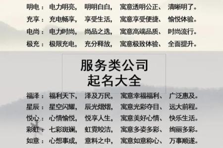 网络公司名字大全-名字大全姓名