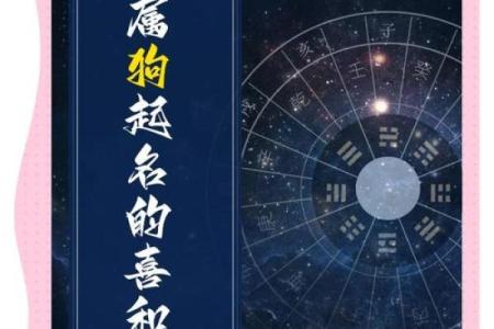 下午四点出生的属狗男孩怎么取名，用什么字好姓名