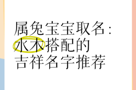 早上7点出生的属兔男孩如何取名姓名