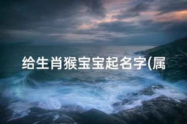 什么字适合给晚上9点出生的属猴男孩起名字姓名 什么字适合给晚上9点出生的属猴男孩起名字姓名
