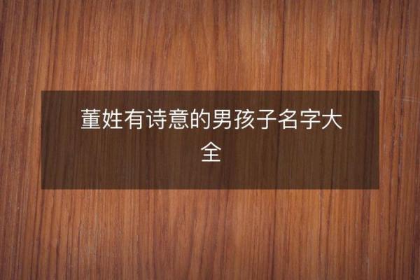 董姓男孩名字大全-董姓男孩起名字大全-董姓名字大全姓名