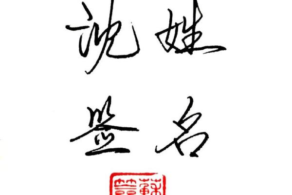 沈姓女孩名字大全-沈姓女孩起名字大全-沈姓名字大全姓名