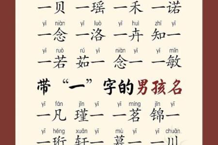 晚上11点出生的属鸡男孩宜用什么字取名字合适姓名