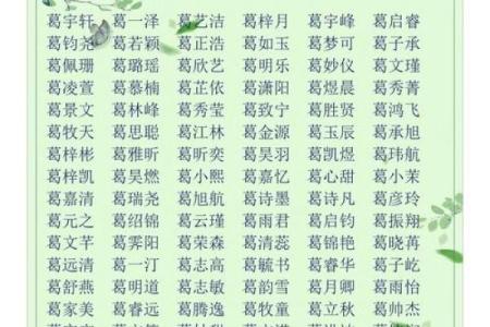 2019年5月27号丑时出生的男孩如何起名姓名