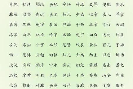 傍晚七点出生的属羊男孩起什么名，适合什么字姓名