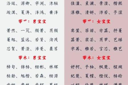 10月份出生的属蛇男孩起什么名字好姓名