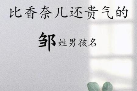 邹姓女孩名字大全-邹姓女孩起名字大全-邹姓名字大全姓名