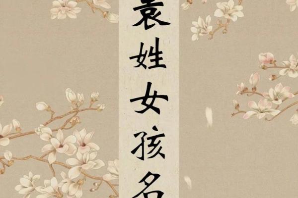 袁姓女孩名字大全-袁姓女孩起名字大全-袁姓名字大全姓名 袁姓女孩名字大全-袁姓女孩起名字大全-袁姓名字大全姓名