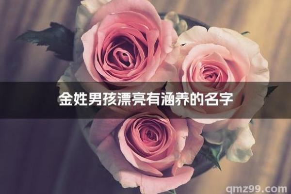 金姓男孩名字大全-金姓男孩起名字大全-金姓名字大全姓名 金姓男孩名字大全-金姓男孩起名字大全-金姓名字大全姓名