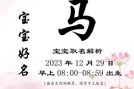 如何给六月份出生的属马的男宝宝取名字姓名