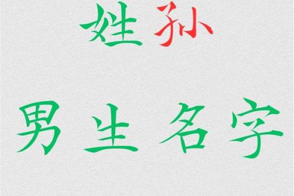 孙姓男孩名字大全-孙姓男孩起名字大全-孙姓名字大全姓名