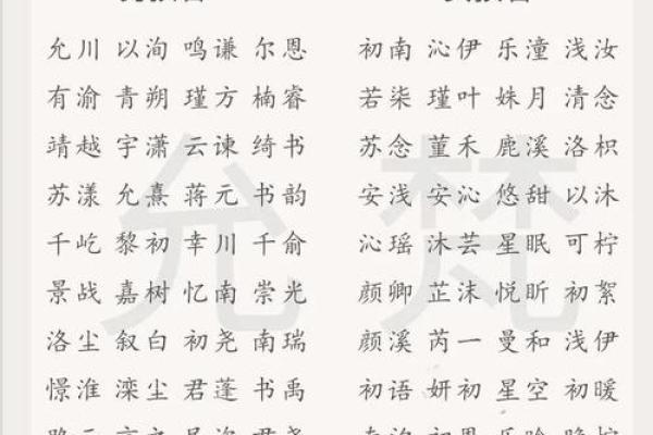 2019年6月17号子时出生的男孩起名时要注意什么姓名