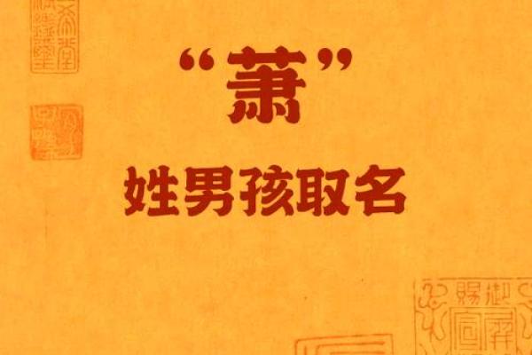 姓巢的名人-姓名学-华易算命网姓名 姓巢的名人-姓名学-华易算命网姓名