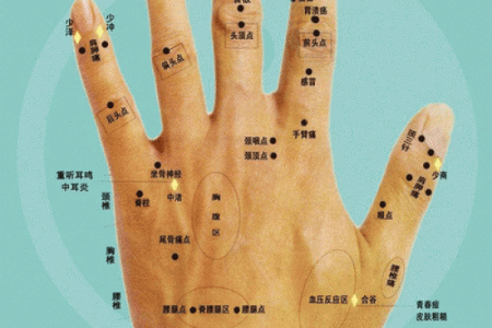 姓石的名人-姓名学-华易算命网姓名