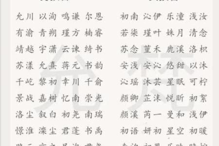 2019年6月17号子时出生的男孩起名时要注意什么姓名