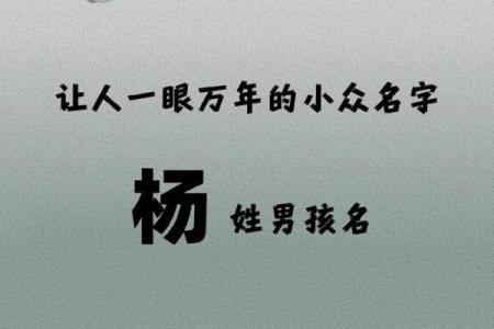 杨姓男孩名字大全-杨姓男孩起名字大全-杨姓名字大全姓名