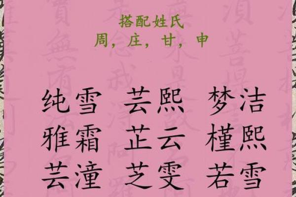 2019年2月11日出生的女宝宝起名大全,五行属什么？姓名