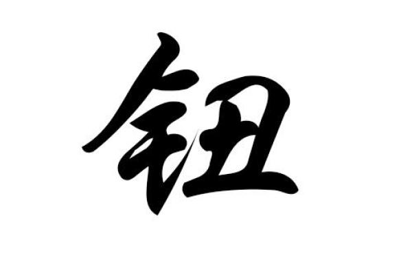 钮姓女孩名字大全-钮姓女孩起名字大全-钮姓名字大全姓名