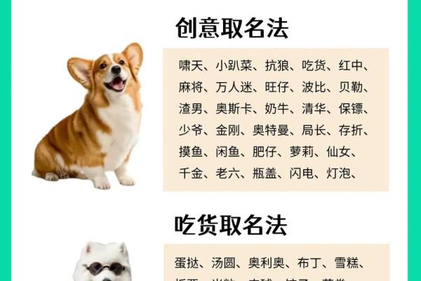 十二月份出生的属狗男孩应该怎样取一个好名字姓名