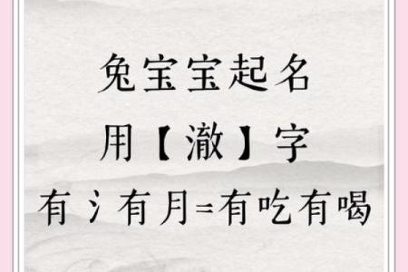 1月份出生的属兔女孩该如何起名姓名