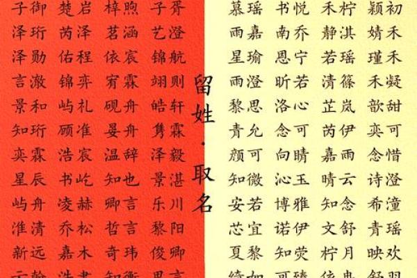 邴姓男孩名字大全-邴姓男孩起名字大全-邴姓名字大全姓名