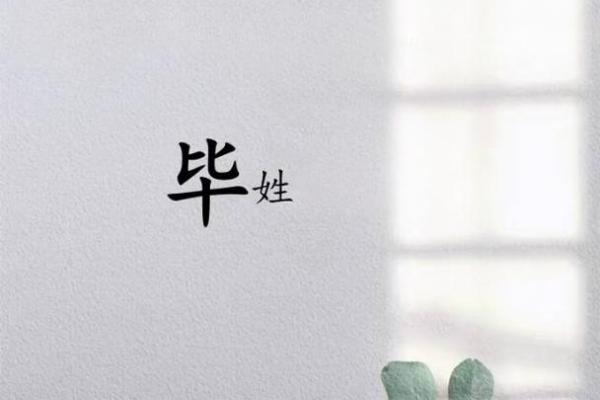 毕姓男孩名字大全-毕姓男孩起名字大全-毕姓名字大全姓名 毕姓男孩名字大全-毕姓男孩起名字大全-毕姓名字大全姓名