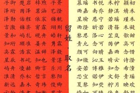 邴姓男孩名字大全-邴姓男孩起名字大全-邴姓名字大全姓名