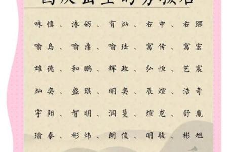 2019年3月27号未时出生的男孩应该起什么样的名字姓名