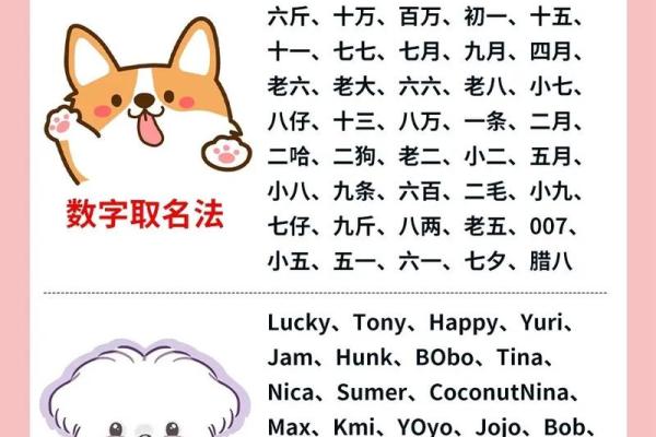 下午六点出生的属狗男孩如何取名，宜用什么字姓名
