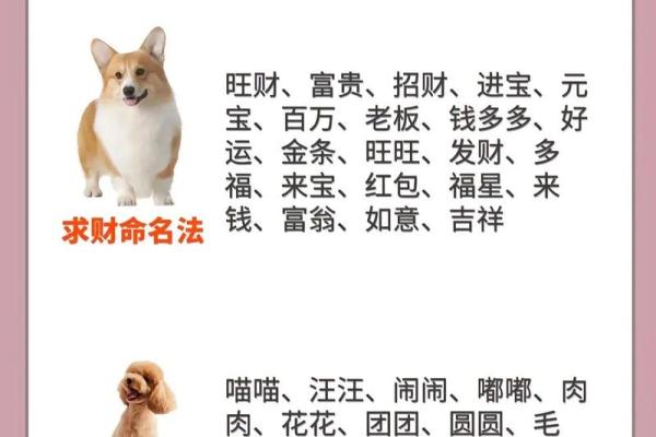 下午六点出生的属狗男孩如何取名，宜用什么字姓名