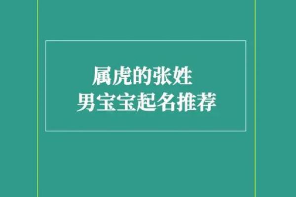 上午出生的属虎男孩适合起什么名，用什么字姓名
