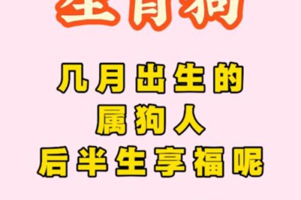 属狗巳时出生的男孩怎样取名字姓名