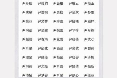 尹姓女孩名字大全-尹姓女孩起名字大全-尹姓名字大全姓名